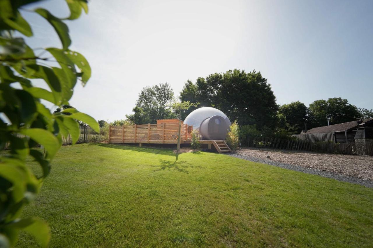 Bulles Odette & Ginette Et Tiny House Suzette "Au Guet Marais" Etape Insolite Paliseul Exterior photo